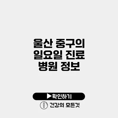 울산 중구의 일요일 진료 병원 정보