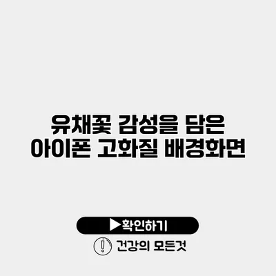 유채꽃 감성을 담은 아이폰 고화질 배경화면