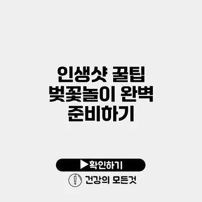 인생샷 꿀팁 벚꽃놀이 완벽 준비하기