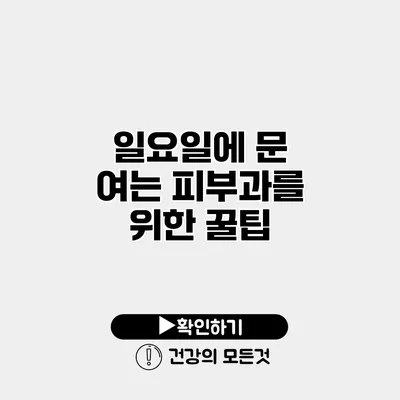 일요일에 문 여는 피부과를 위한 꿀팁