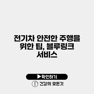 전기차 안전한 주행을 위한 팁, 블루링크 서비스