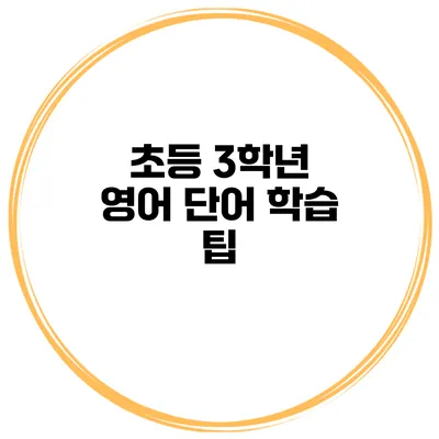 초등 3학년 영어 단어 학습 팁