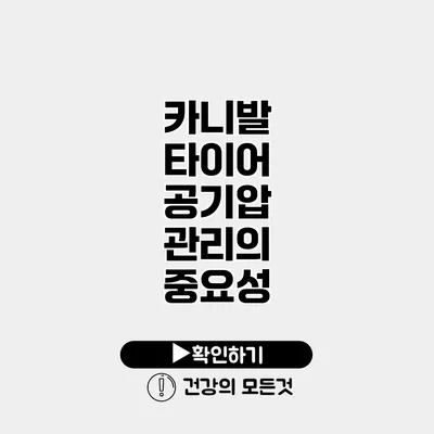 카니발 타이어 공기압 관리의 중요성