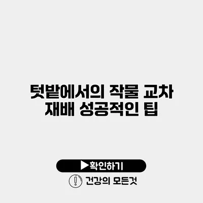 텃밭에서의 작물 교차 재배 성공적인 팁