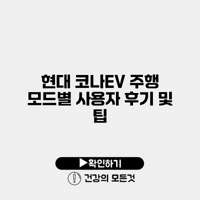현대 코나EV 주행 모드별 사용자 후기 및 팁