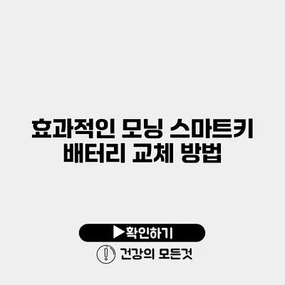 효과적인 모닝 스마트키 배터리 교체 방법